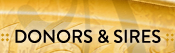 Donors and Sires
